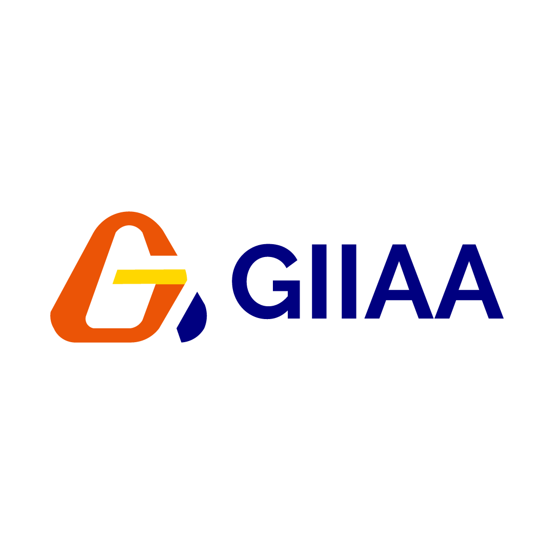 Giiaa.co